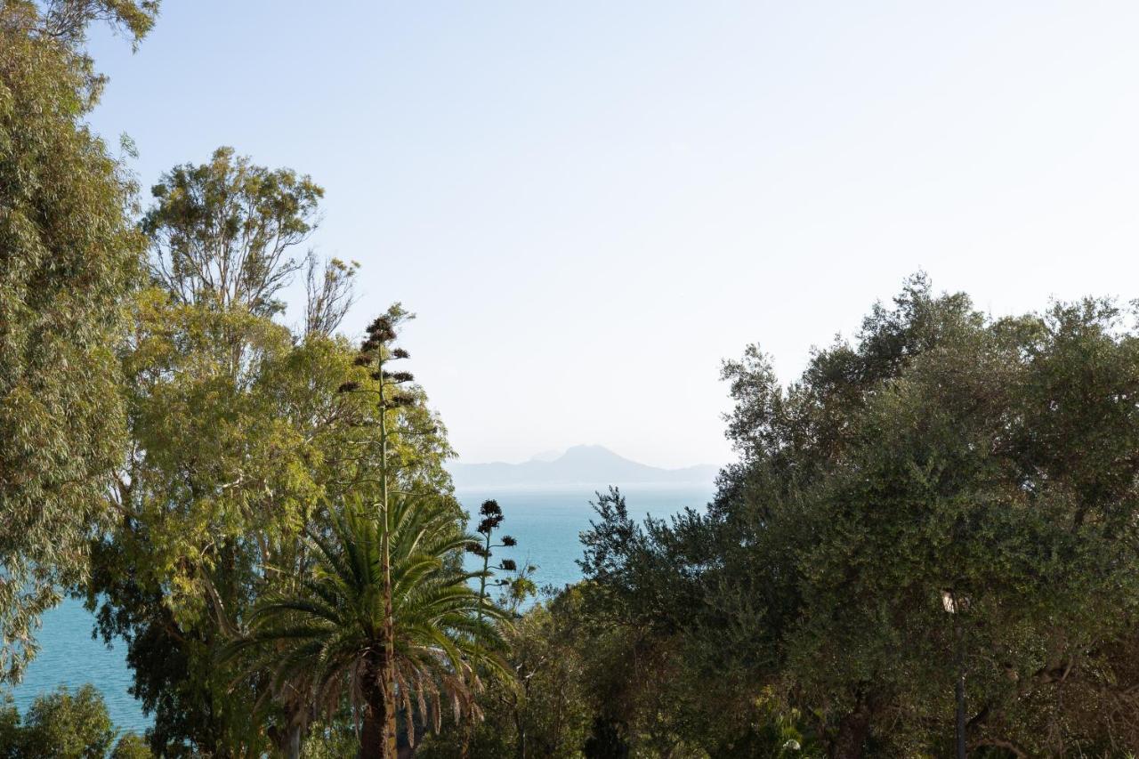 Si Brahim Studio Piscine, Sidi Bou Said Bagian luar foto