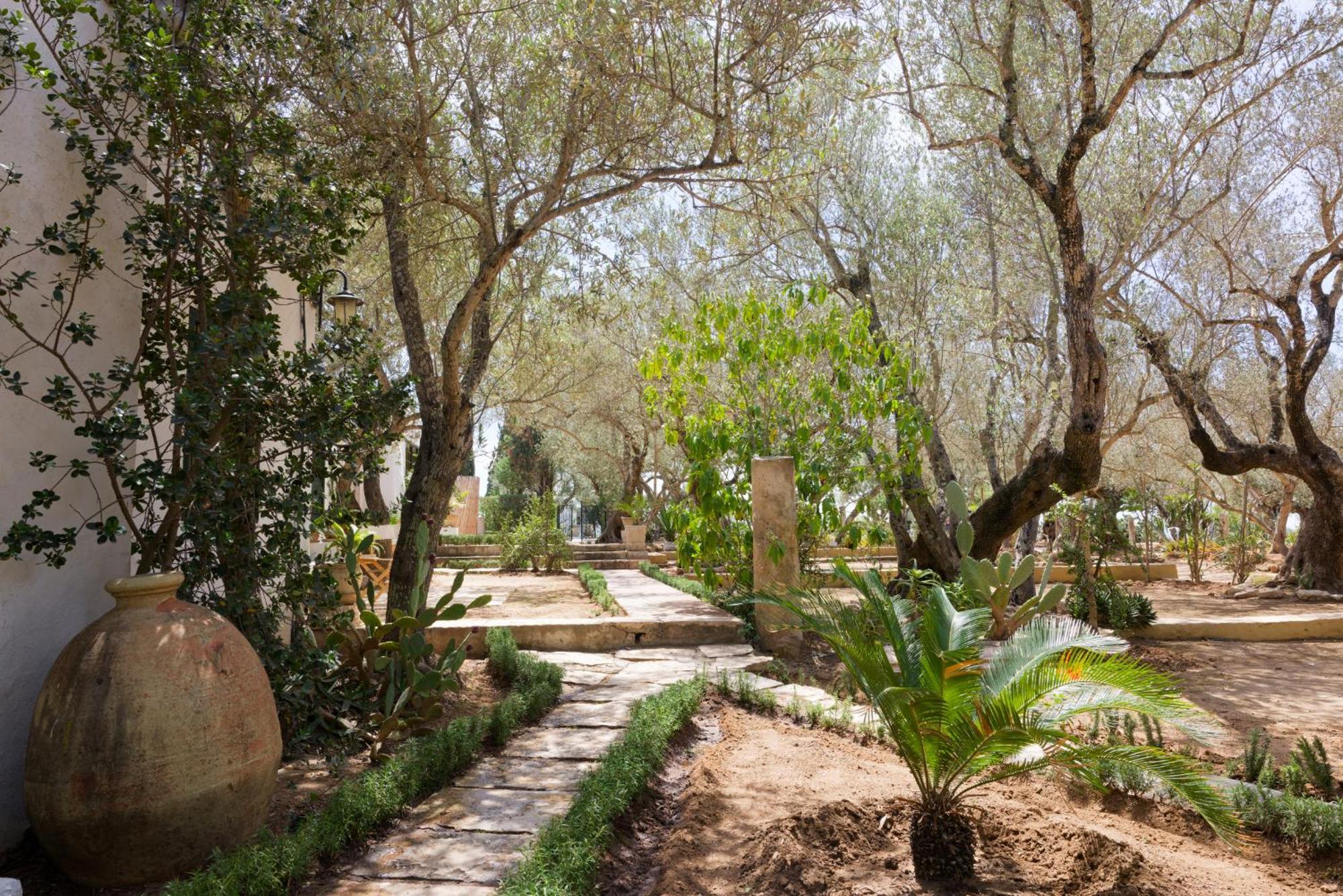 Si Brahim Studio Piscine, Sidi Bou Said Bagian luar foto